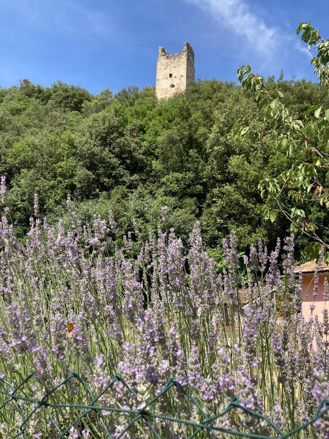 La Casa Dei Nonni Hotel Torre Orsina Kültér fotó
